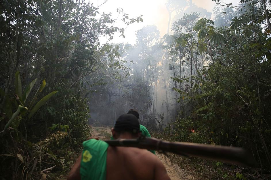 People walking through the Amazon Rainforest. 