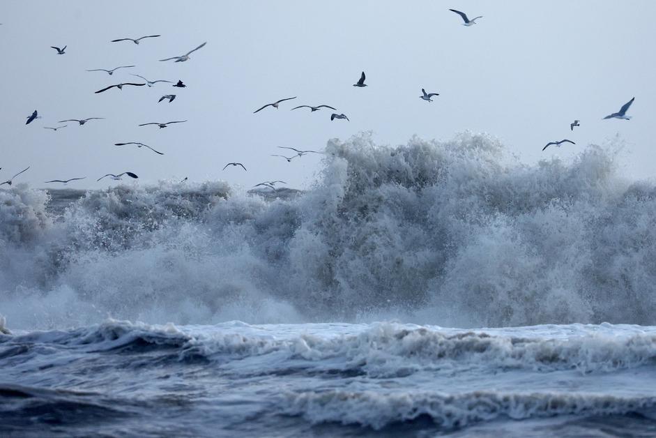 كيف تؤثر التيارات المحيطية على المناخ