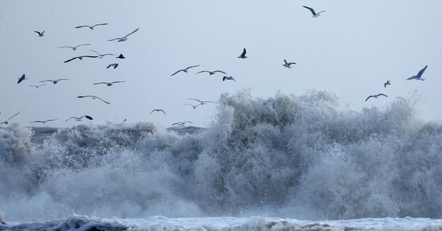 HOW DO WINDS AFFECT OCEAN CURRENTS visual data 8