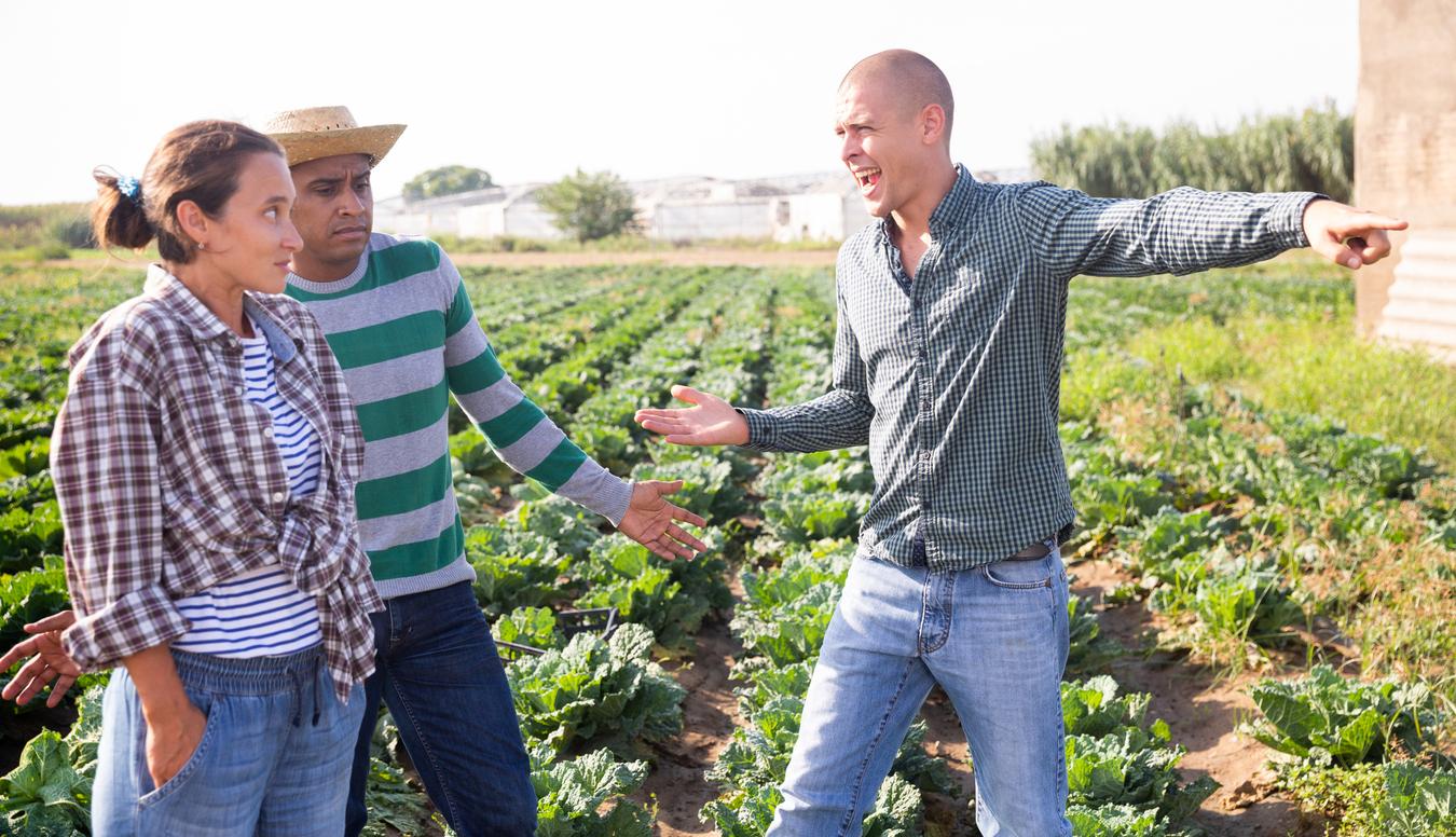 Three farmers of different races argue with one another outside in a field of crops on a sunny day.