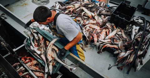 gm thumb commercialfishing