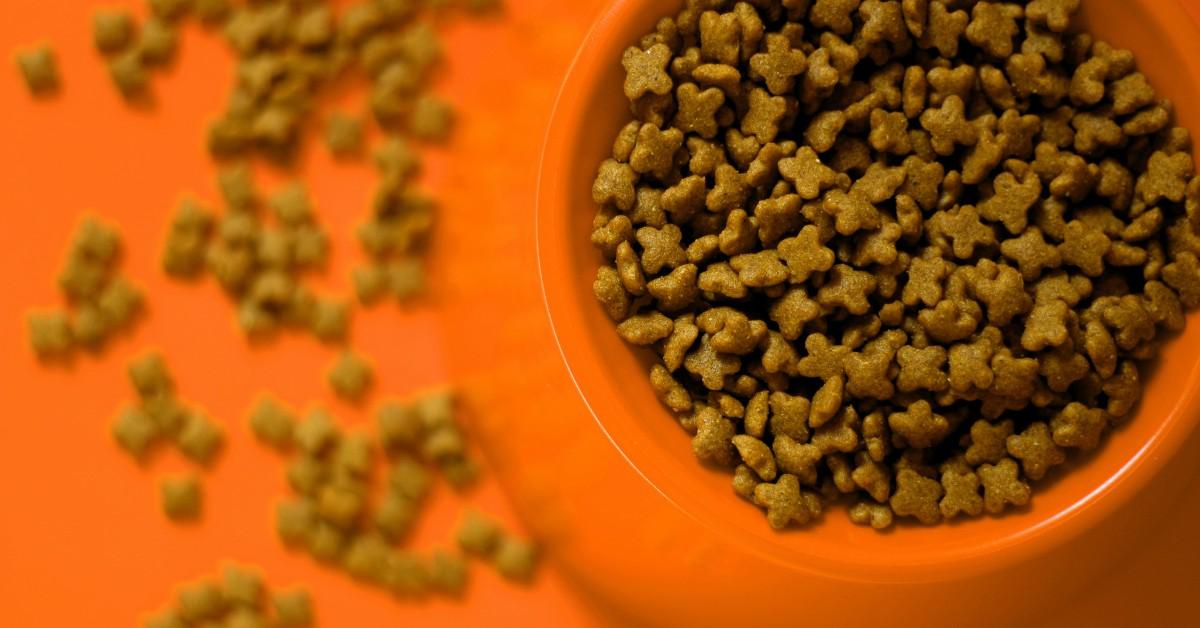 A bowl of cat food sits on an orange table