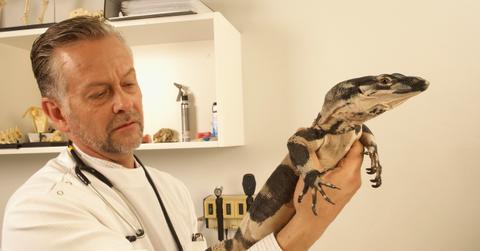 What are some jobs where you can work with animals?