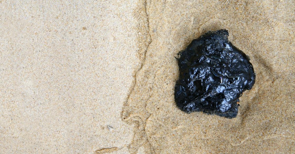 Tar ball on the beach. 