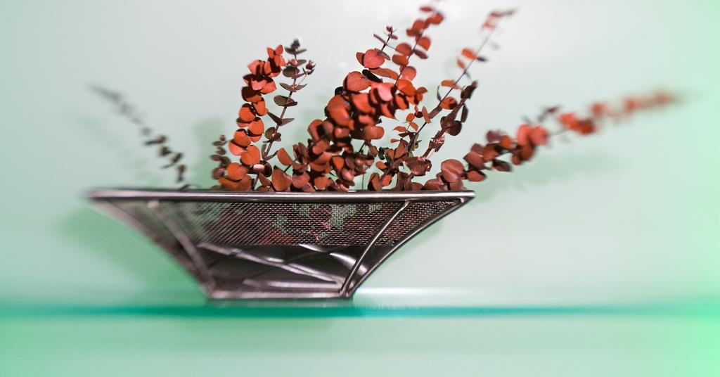 Is Eucalyptus Safe For Cats? What Happens If They Ingest It?