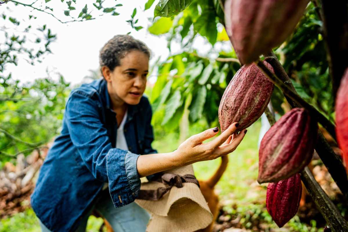 pn/cdfbe ef a d cbbfbb