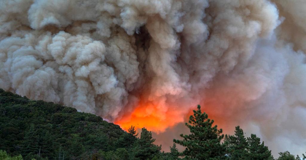 Wildfire Smoke Linked to Coronavirus Cases and Deaths in Harvard Study