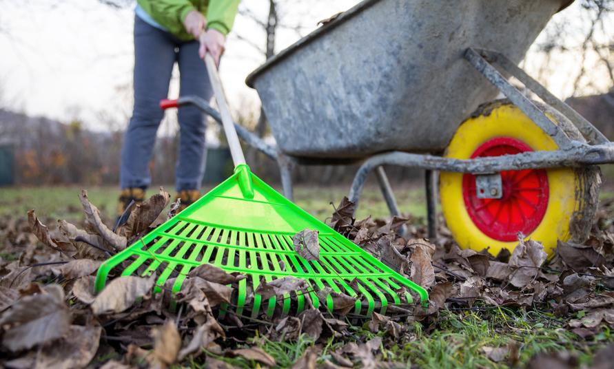 What to Do With Raked Leaves, Instead of Tossing Them in the Landfill
