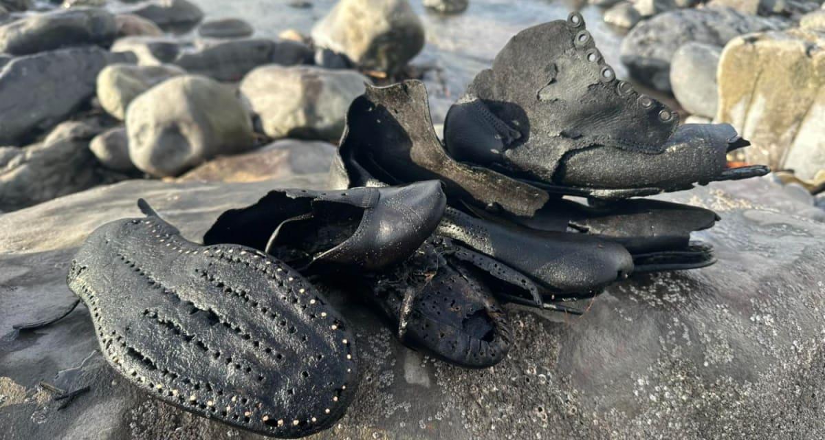 pn/adab  bcc bc bddfdf