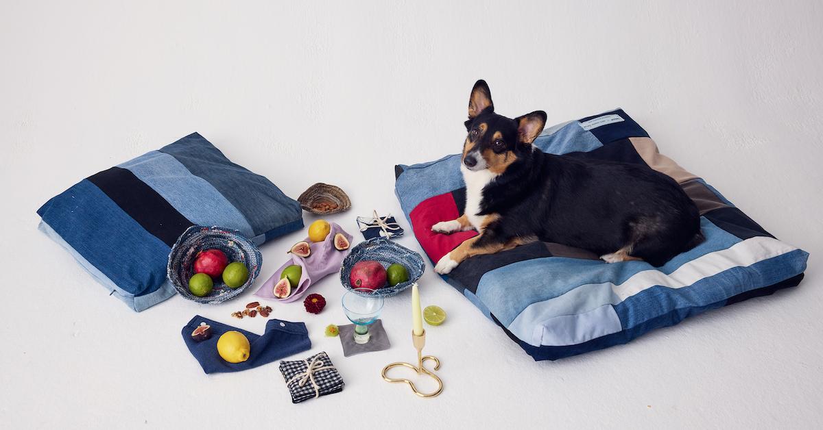 Pet Bed by Zero Waste Daniel for thredUP