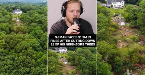 three images of trees cut down