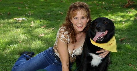 Photo of 'Exorcist' star Linda Blair in a field with a black dog