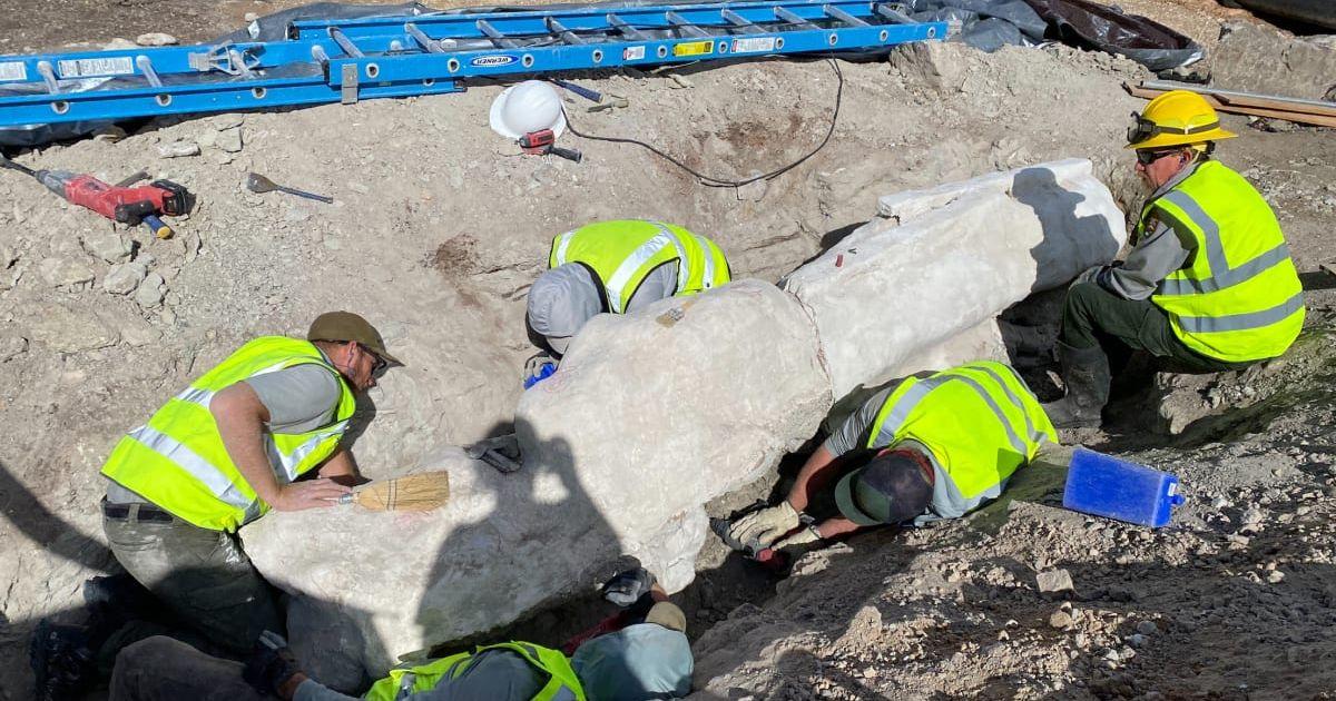 Construction workers in Colorado's Dinosaur National Museum's quarry uncovering a giant sandstone chunk bearing dinosaur fossil (Cover Image Source: National Park Service)