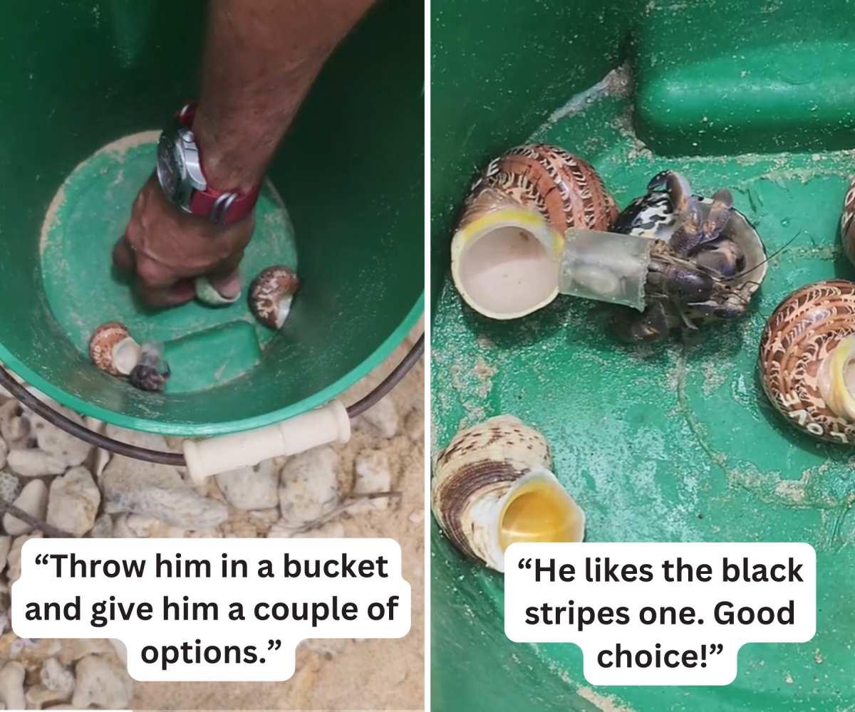 pn/ecbe be fdf bee fbbbcf