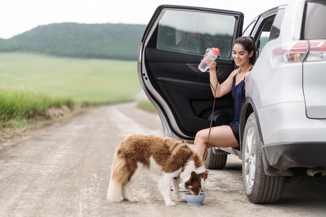 A smiling woman in a blue tank top and black shorts provides water to her dog from a clear bottle outside of their car on a dirt road surrounded by grass.