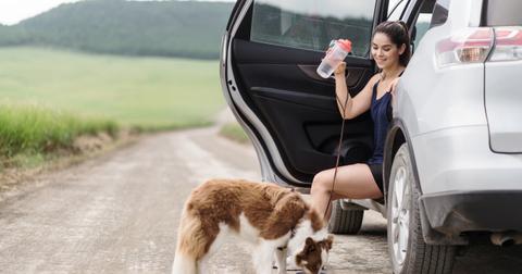 How Long Can a Dog Go Without Water? How to Avoid Dehydration