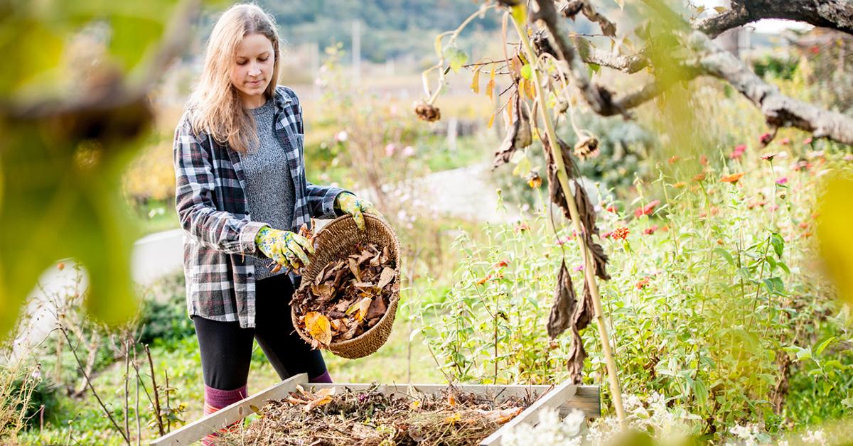 how do i know compost is working