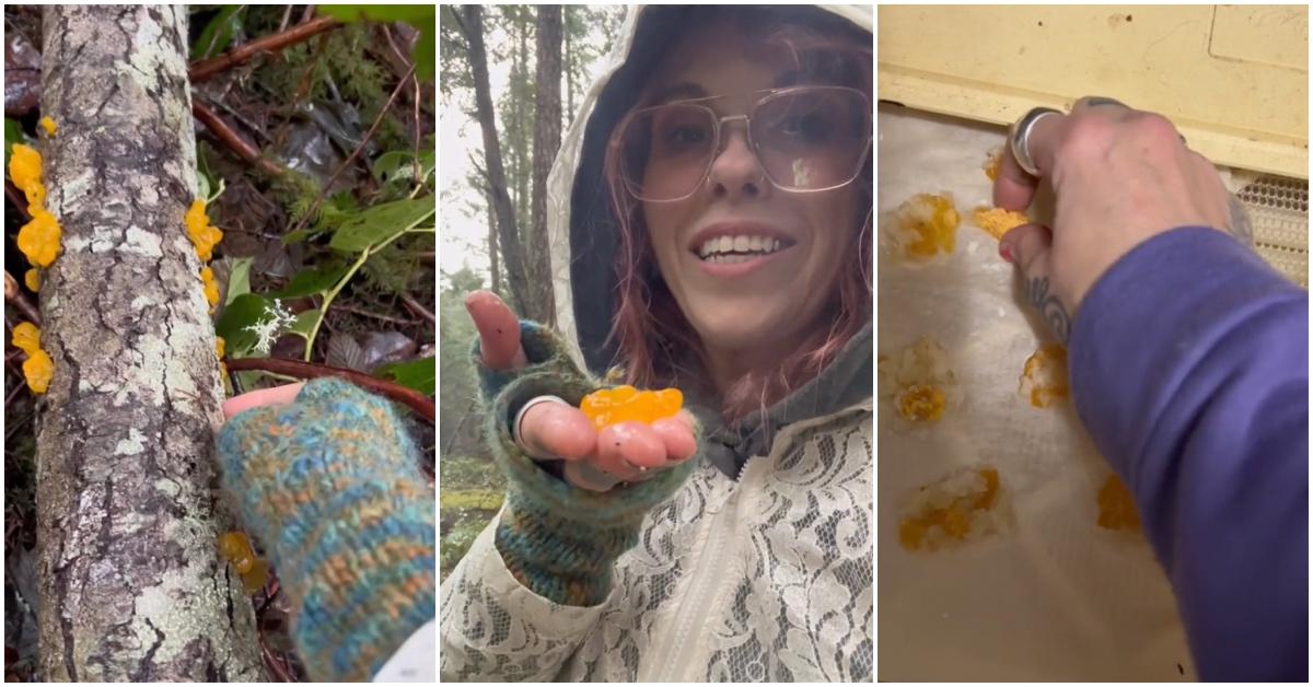 Woman making witches' butter candy 