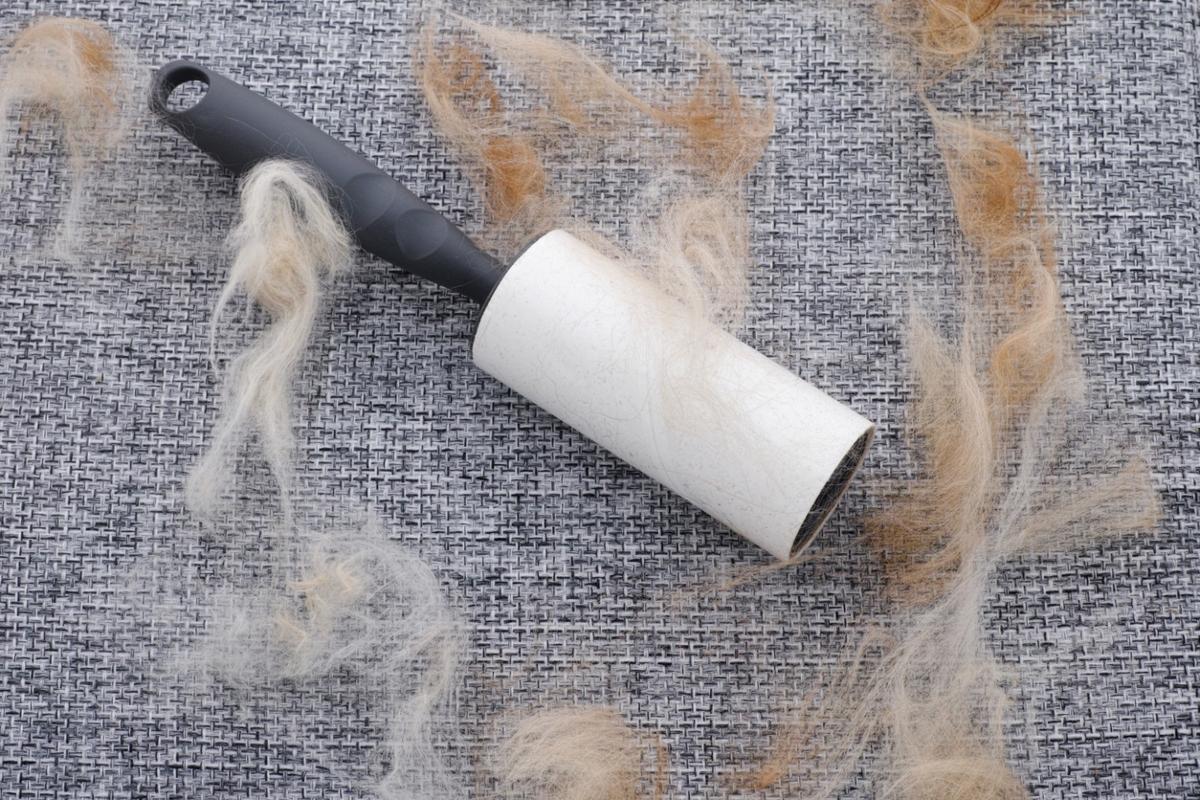 lint roller on upholstery with hair