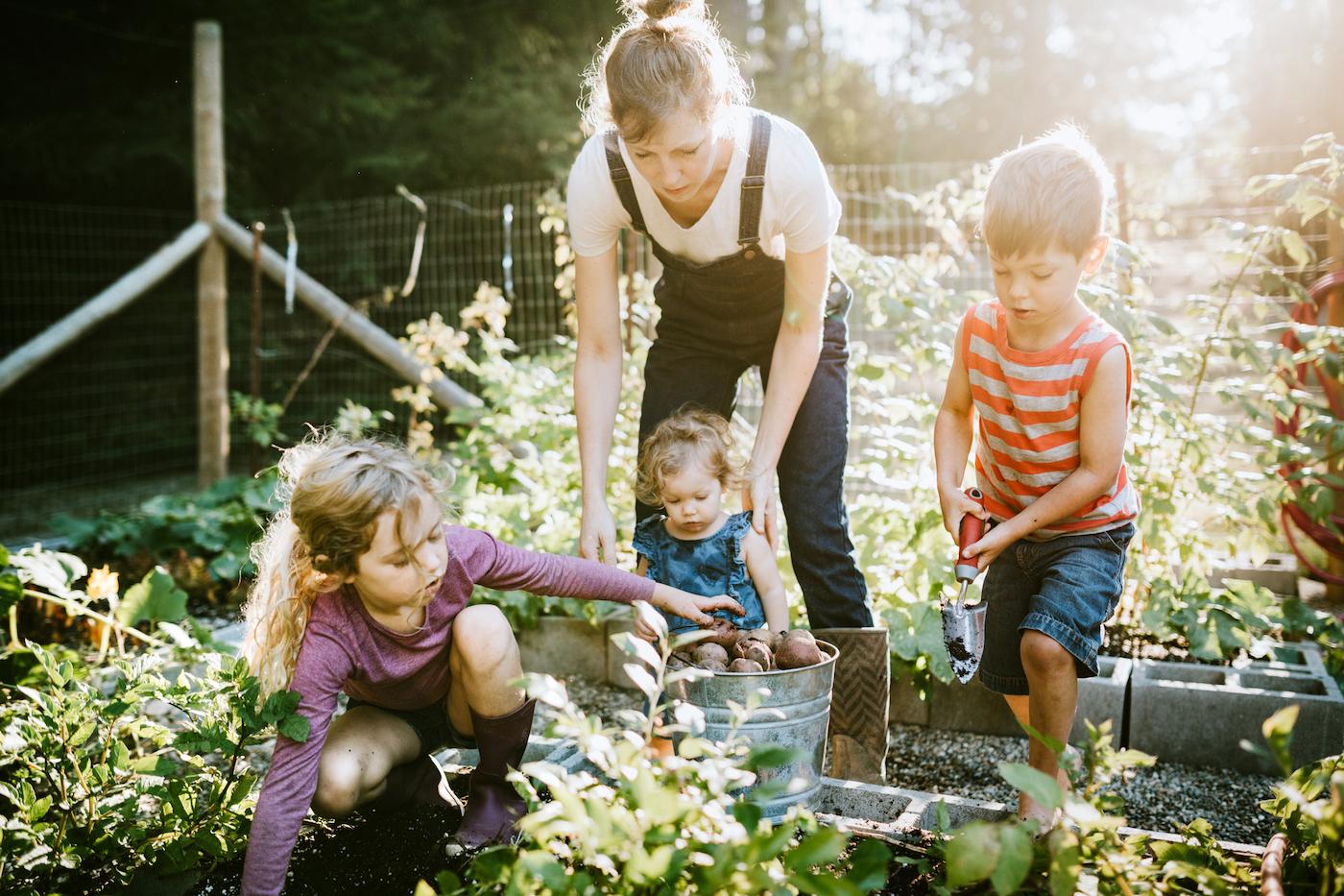 gardening