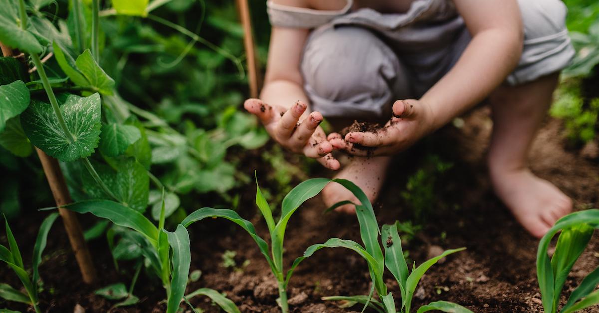 Child playing in the dirt where rollie pollies live. 