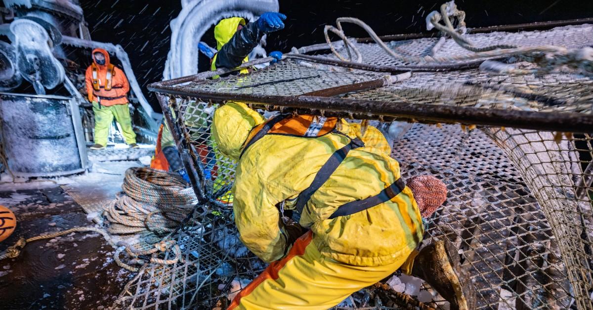 Deadliest Catch crew member clearing out a crab pod