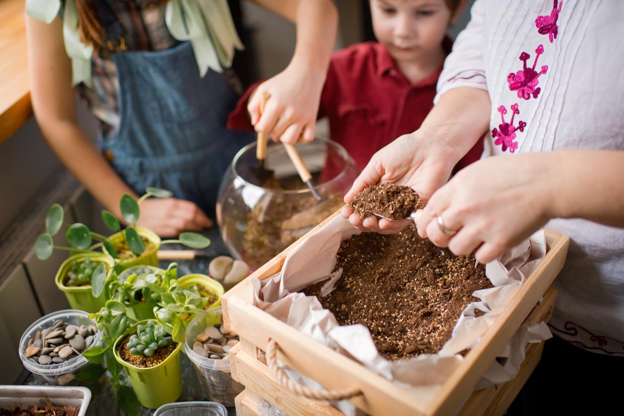 People adding soil to terrarium.