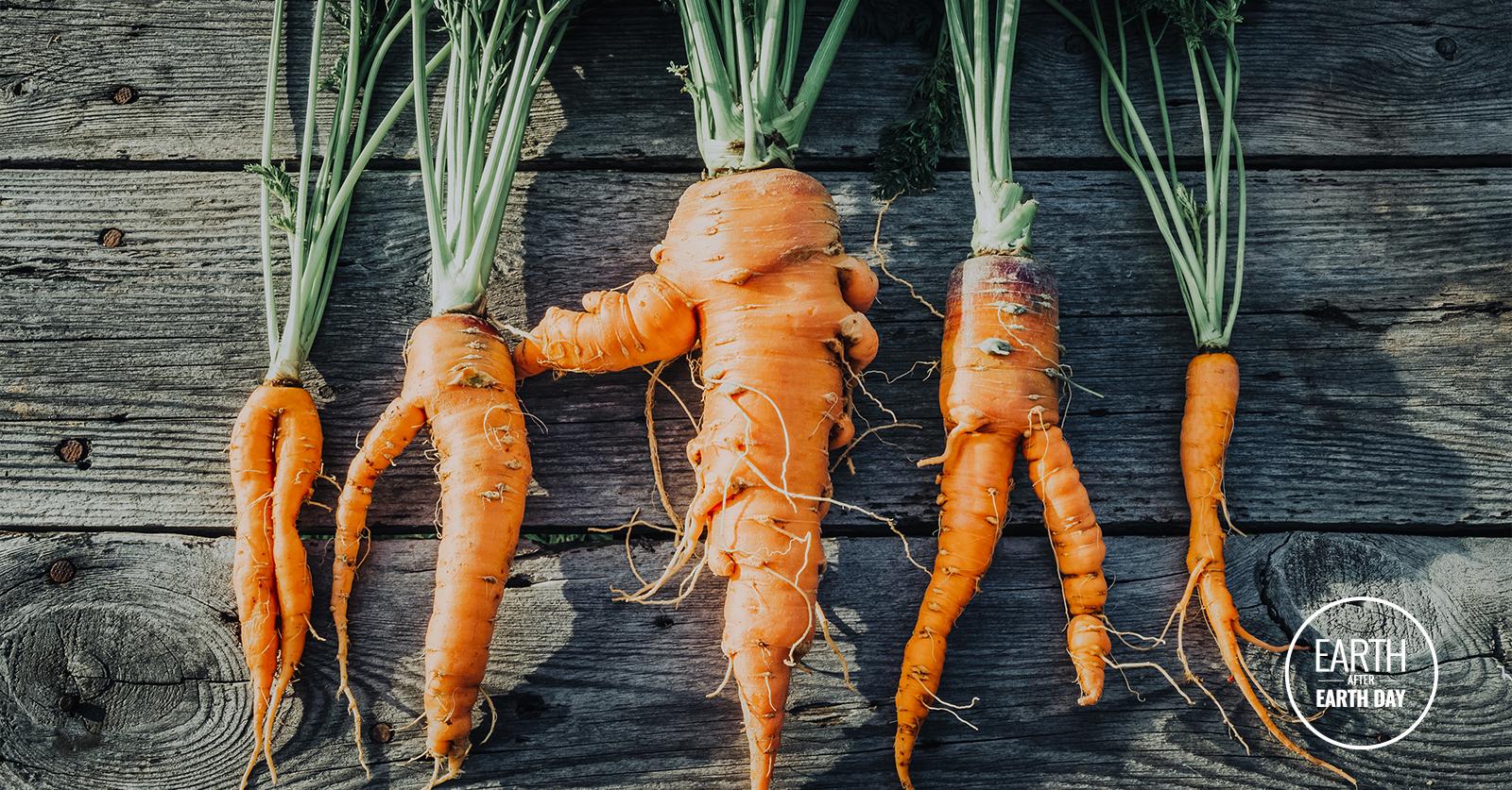 cooking ugly produce