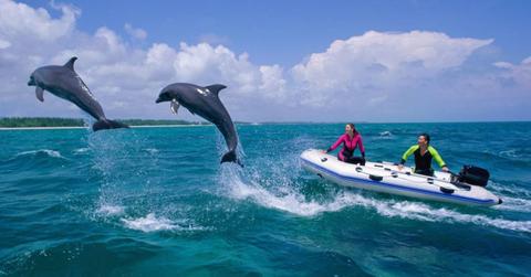 People watching dolphins. (Representative Cover Image Source: Getty Images | Stephen Frink)