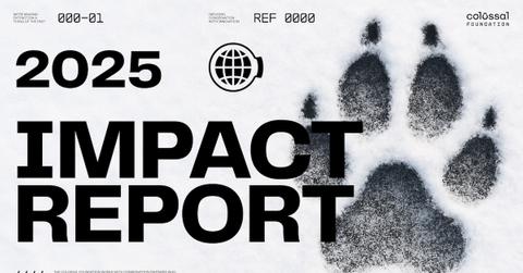 Colossal Foundation Fueling a Biotech Revolution to Save Life on Earth