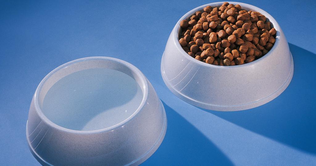 What Are the Best HumanGrade Dog Food Brands?