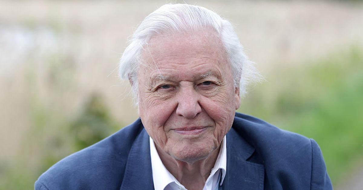 david attenborough