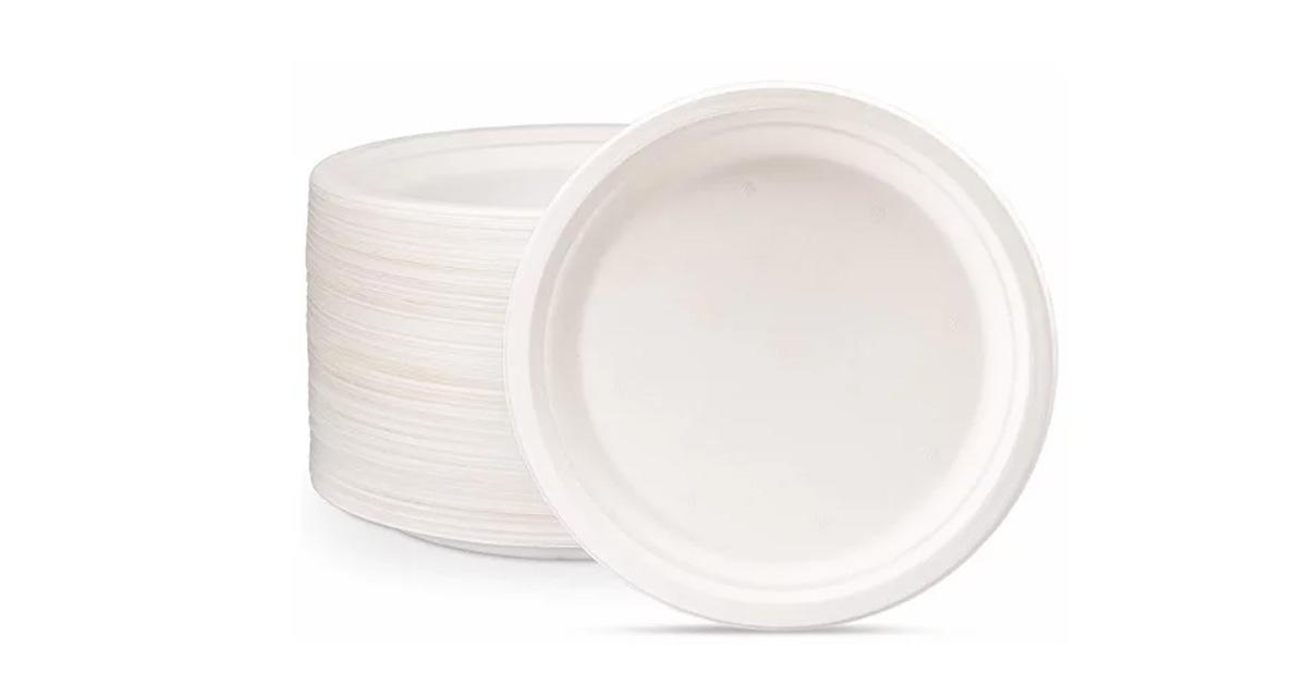 Compostable Plates made from bamboo on a white background