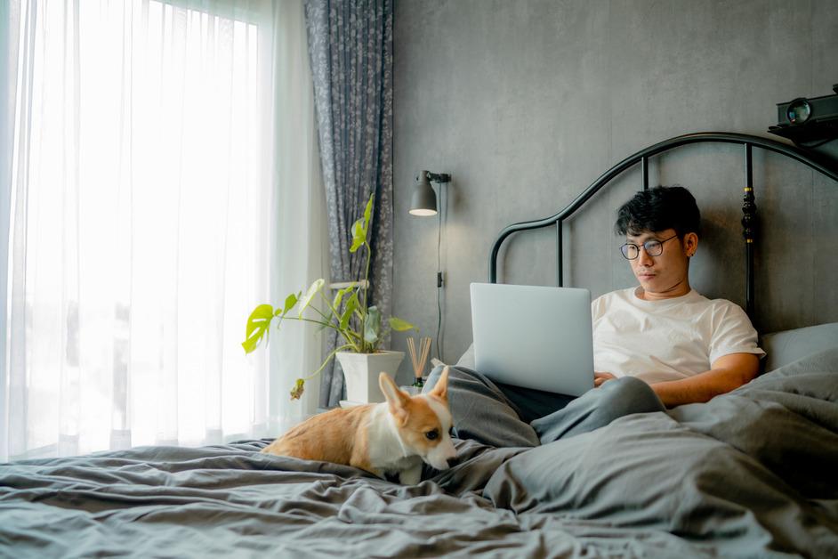 Man works in bed with gray bed sheets while Pembroke Welsh Corgi sits at his feet.