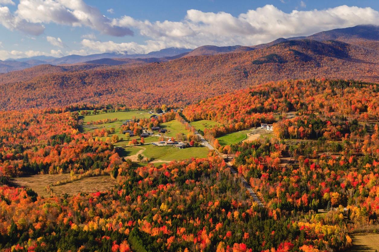 Vermont Foliage