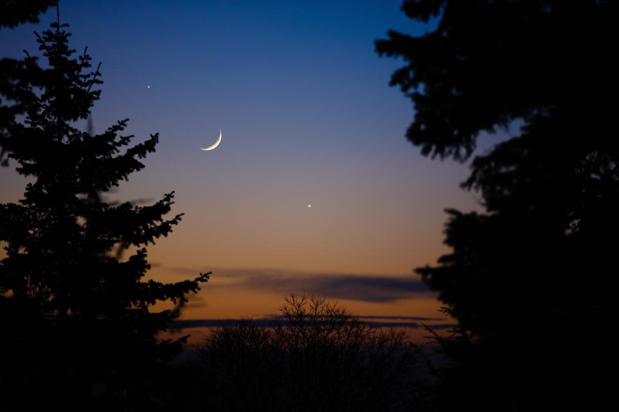 A crescent moon appears in the night sky with trees in the foreground.