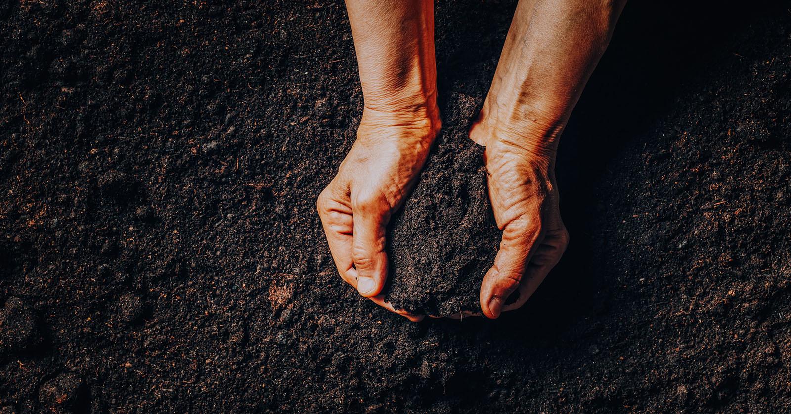 Human Composting Colorado