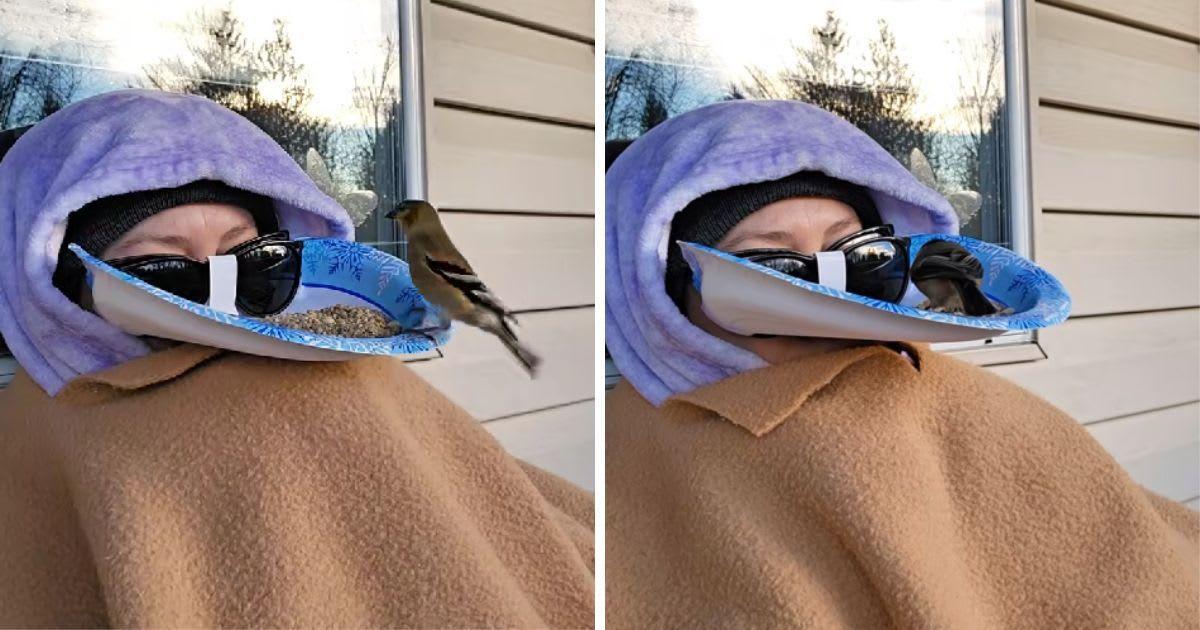 Bird enthusiast stuns the internet with her innovation. (Cover Image Source: TikTok | @wildlifetastic)