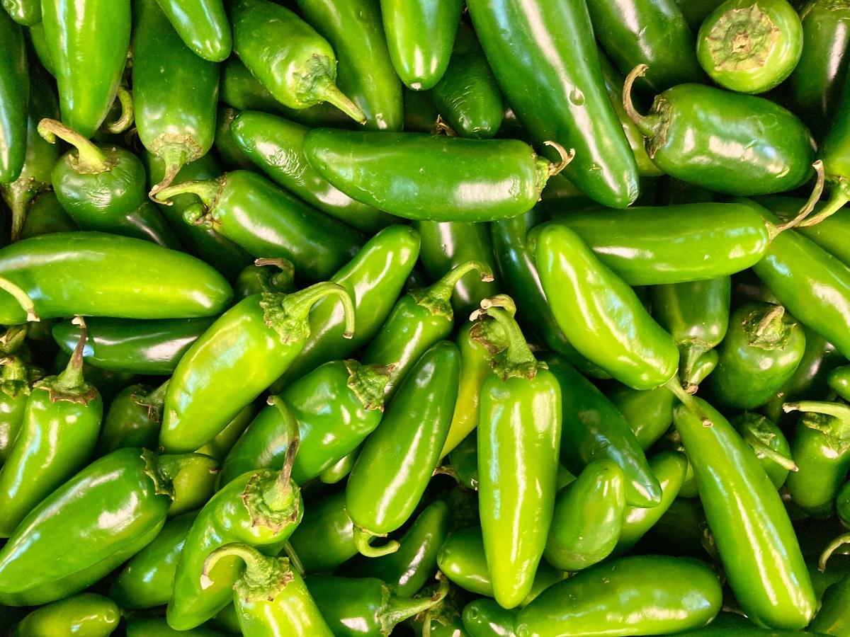 bright green peppers