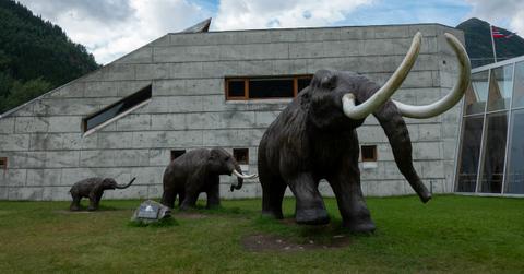 statues of wooly mammoth