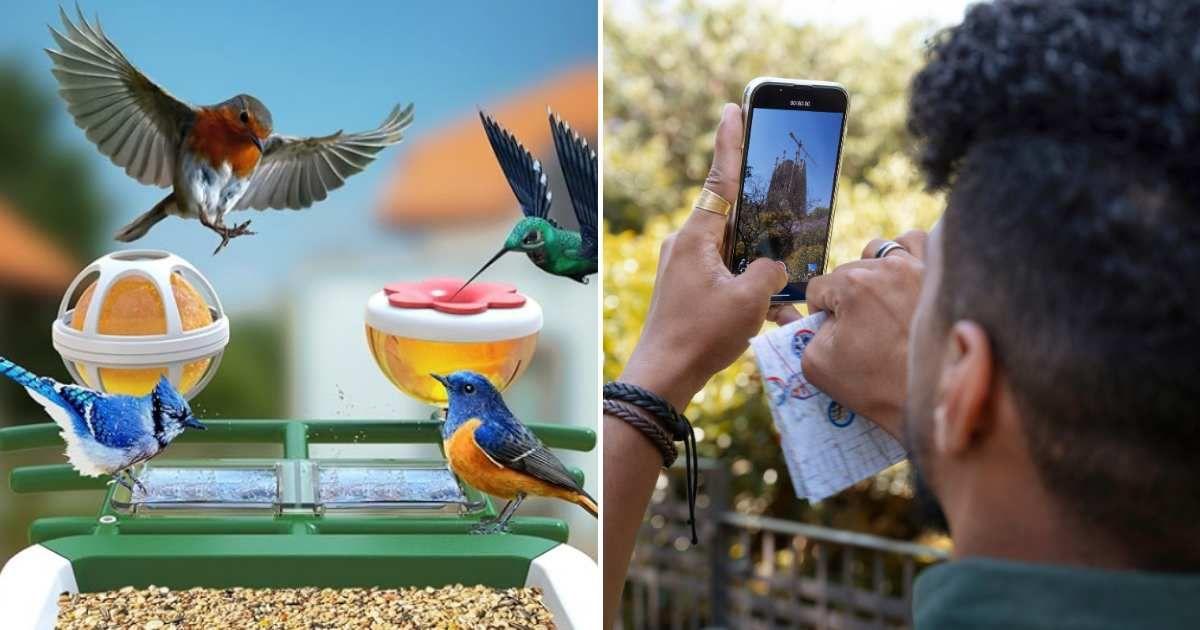 (L) Smart bird feeder from Firstrend (Cover Image Source: firstrendcctv.com), (R) Man watching birds on his phone. (Representative Cover Image Source: Freepik)
