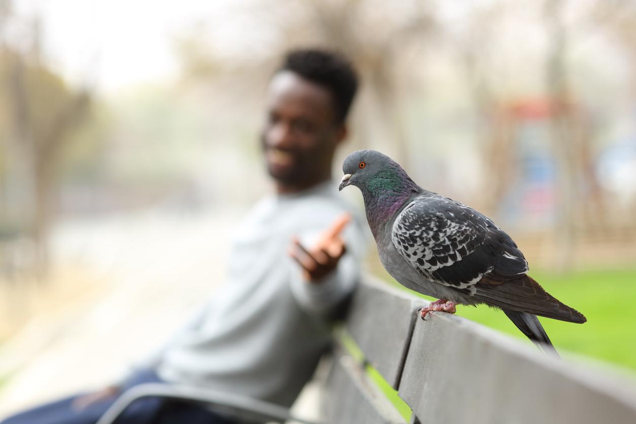 A smiling man sits on a bench with his hands outstretched towards a pigeon.