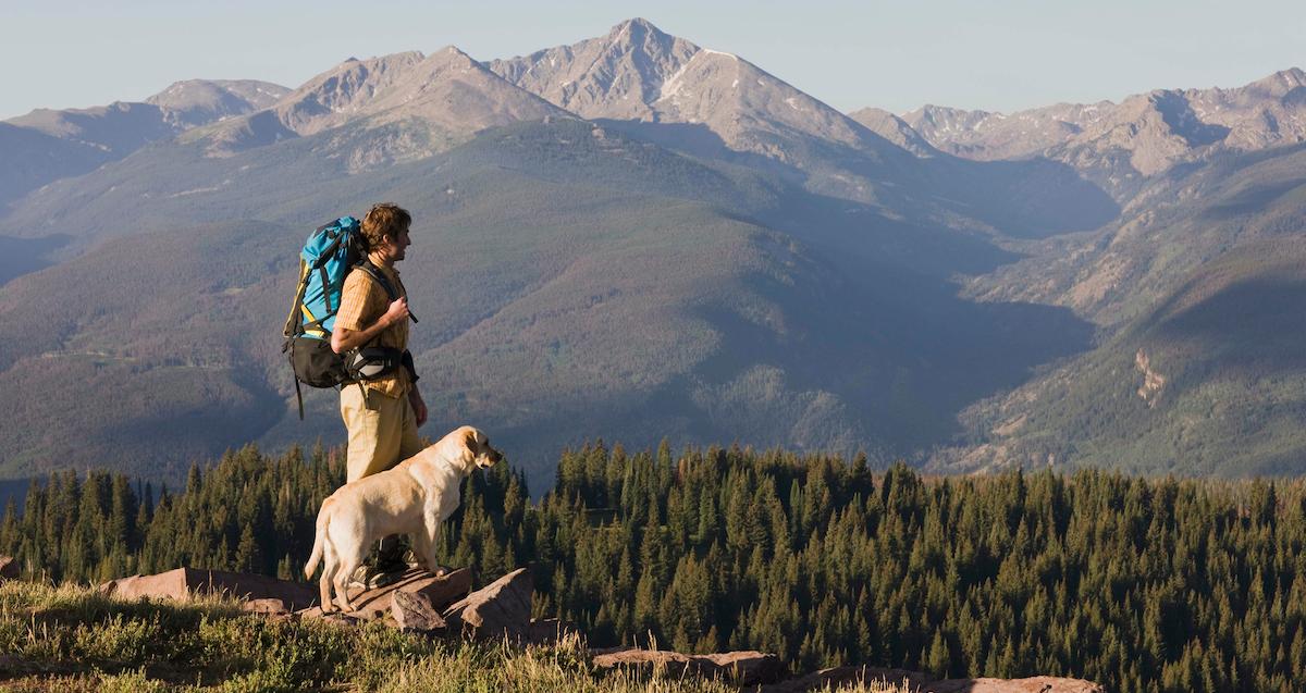 dog hike