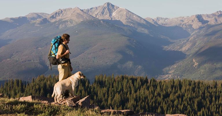 5 Ways to Celebrate National Pet Day This Weekend