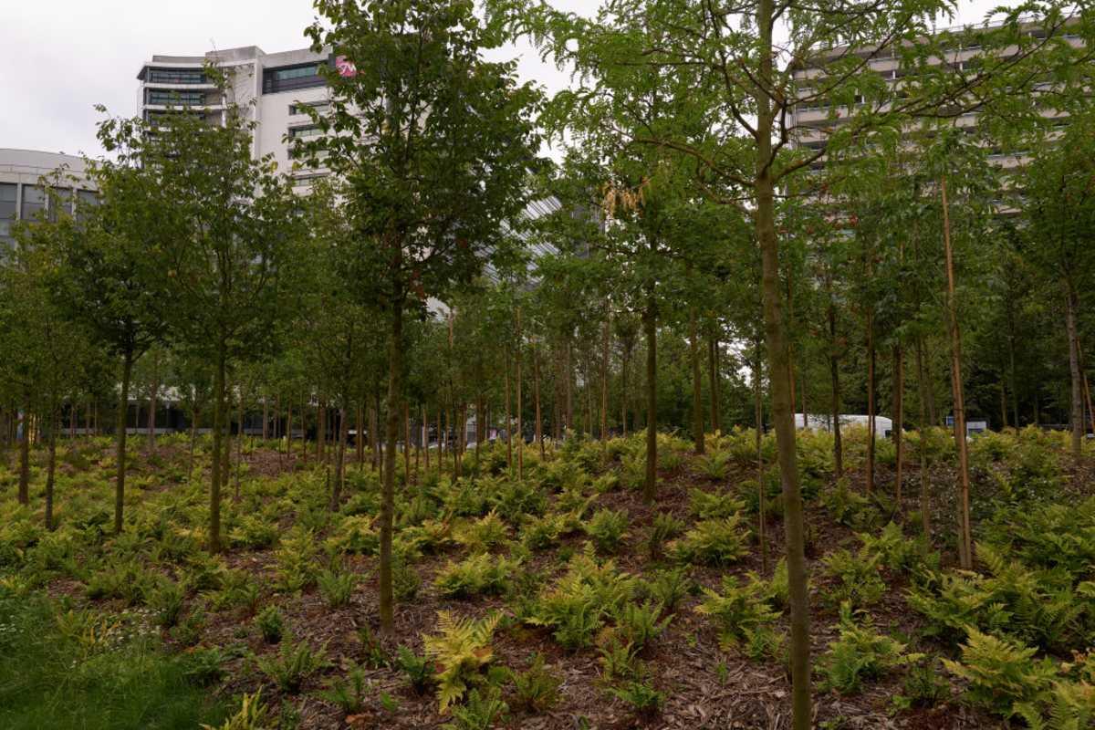 pn/ecaa aa bd f cbfcbb