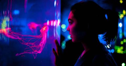 A girl looking at jellyfish in an aquarium. (Representative Cover Image Source: Getty Images | Giulia Fiori Photography)
