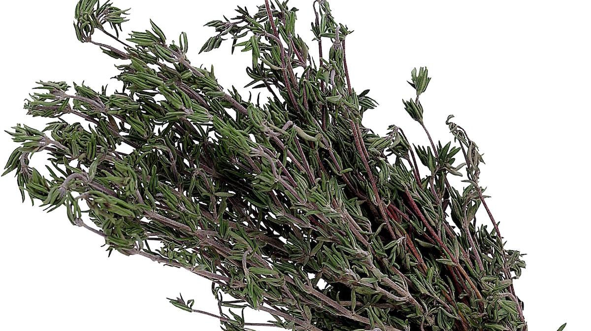 Bunch of thyme leaves