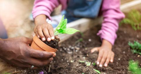 How to Add Nitrogen to Soil