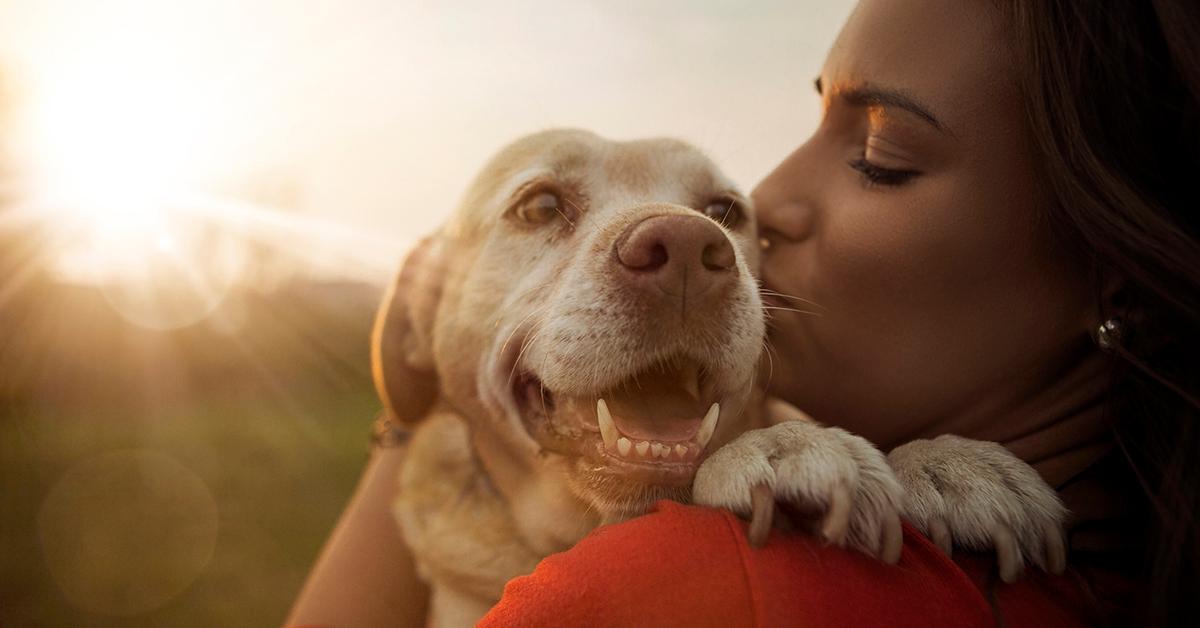 Dogs’ Heart Rate Increases When You Say I Love You 