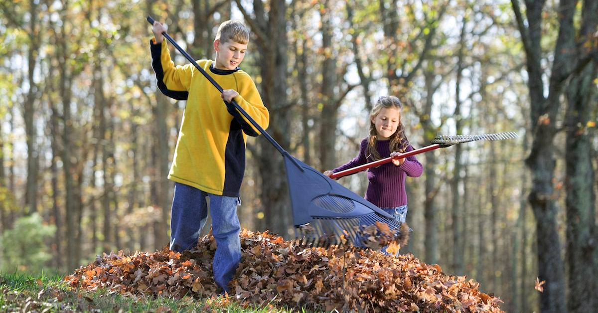 Kids raking leaves